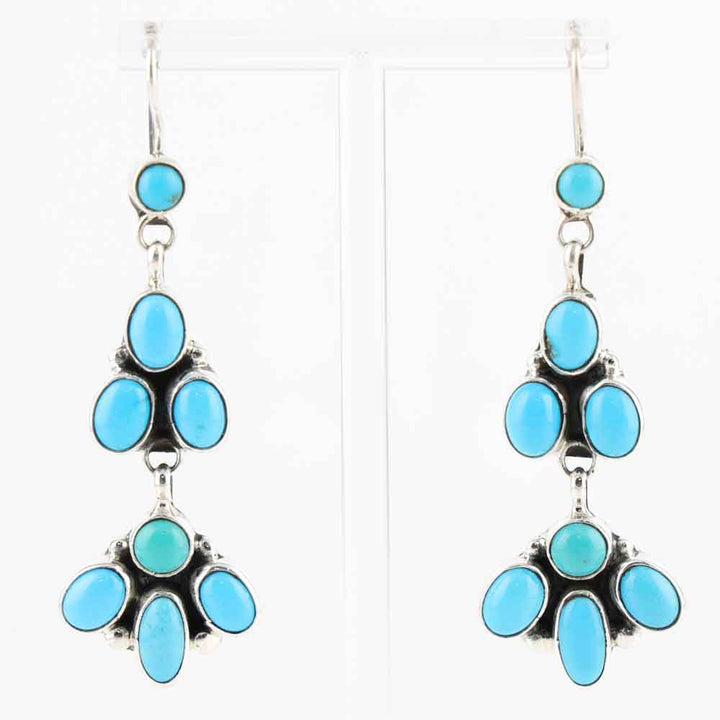 Sleeping Beauty Turquoise Earrings