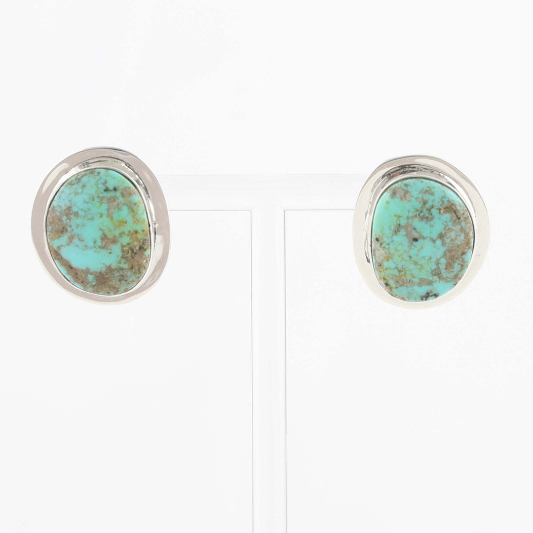 Royston Turquoise Earrings