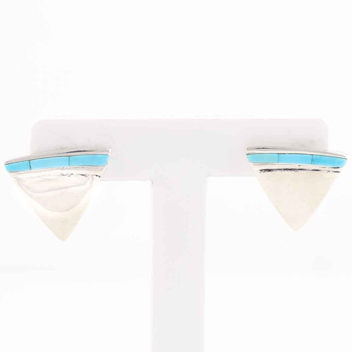 Sleeping Beauty Turquoise Earrings