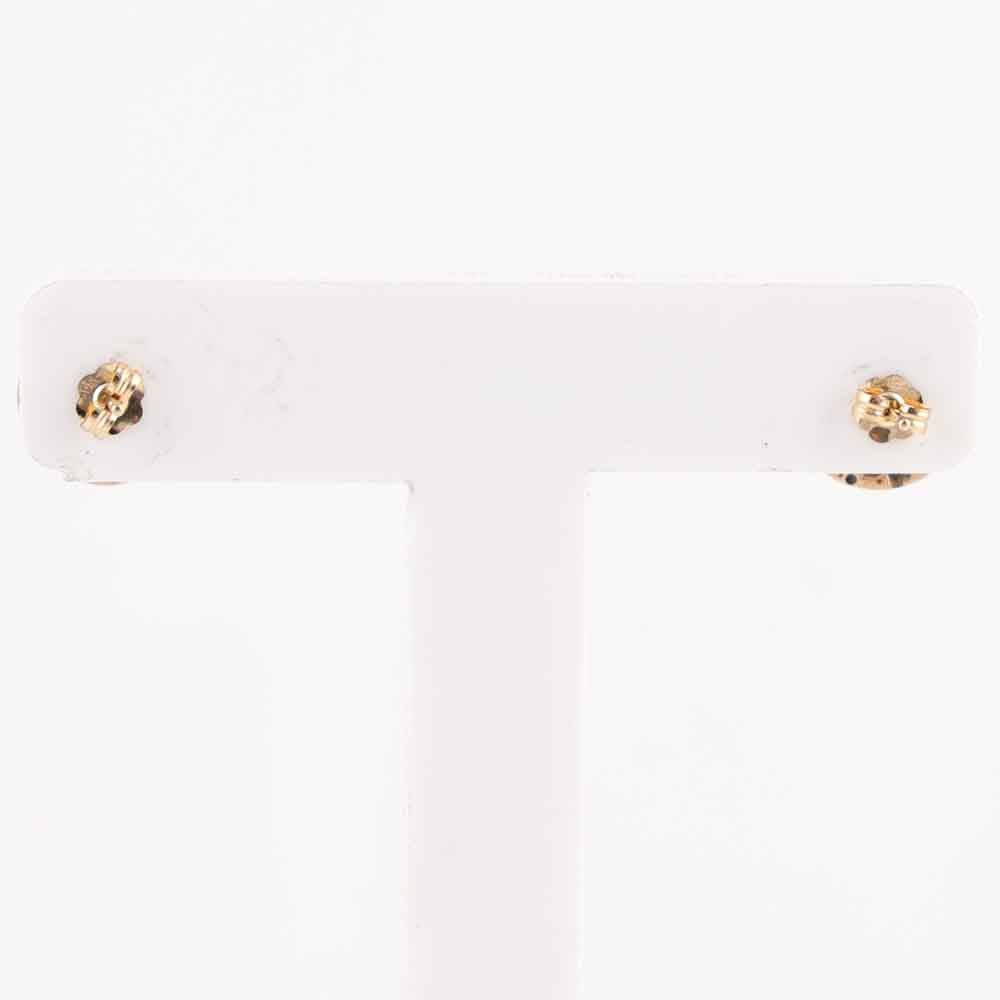 Coral and Gold Earrings