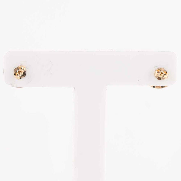 Coral and Gold Earrings