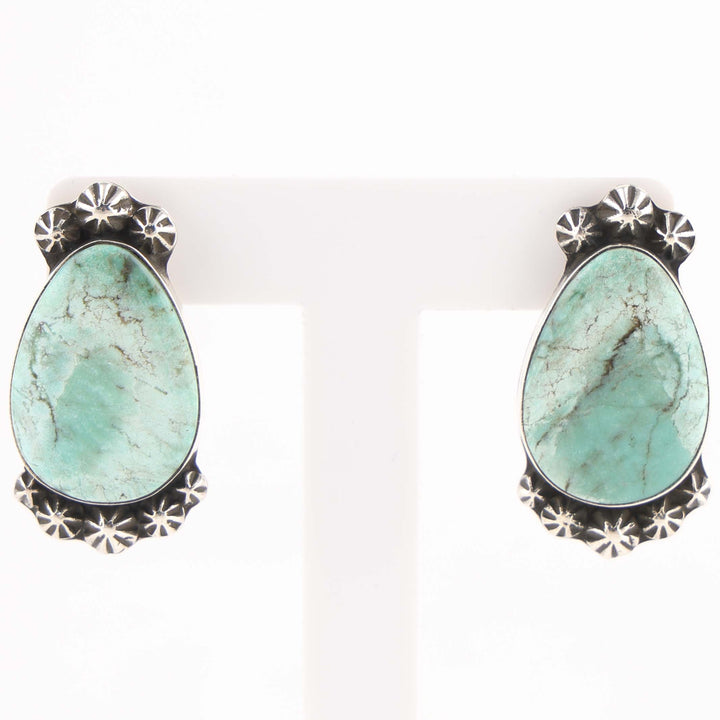 Blue Canyon Turquoise Earrings
