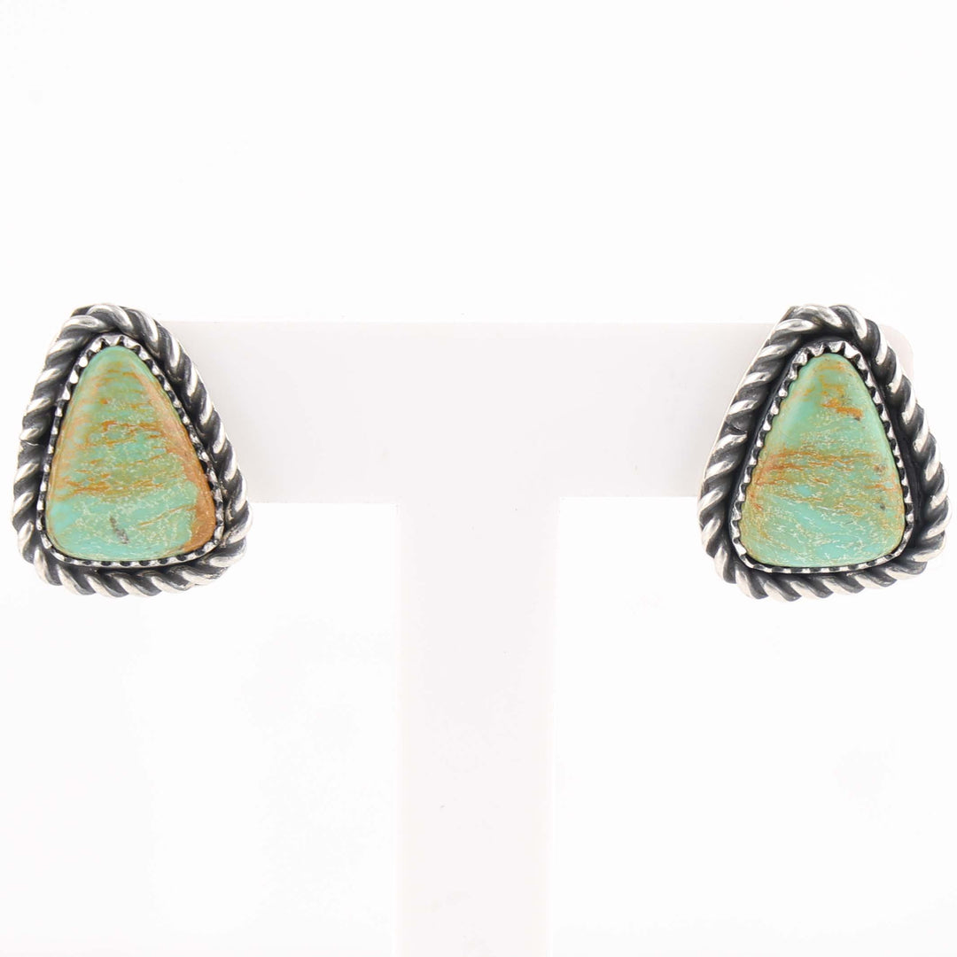 Royston Turquoise Earrings