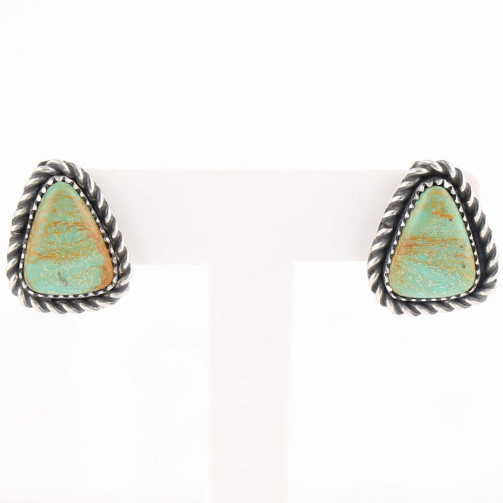 Royston Turquoise Earrings