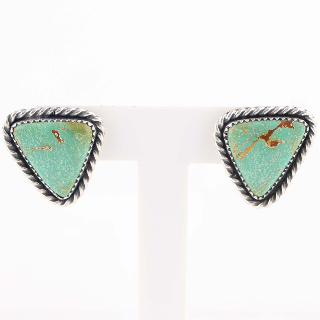 Royston Turquoise Earrings