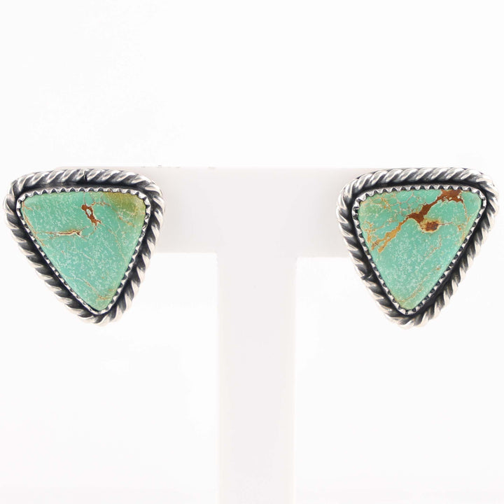 Royston Turquoise Earrings