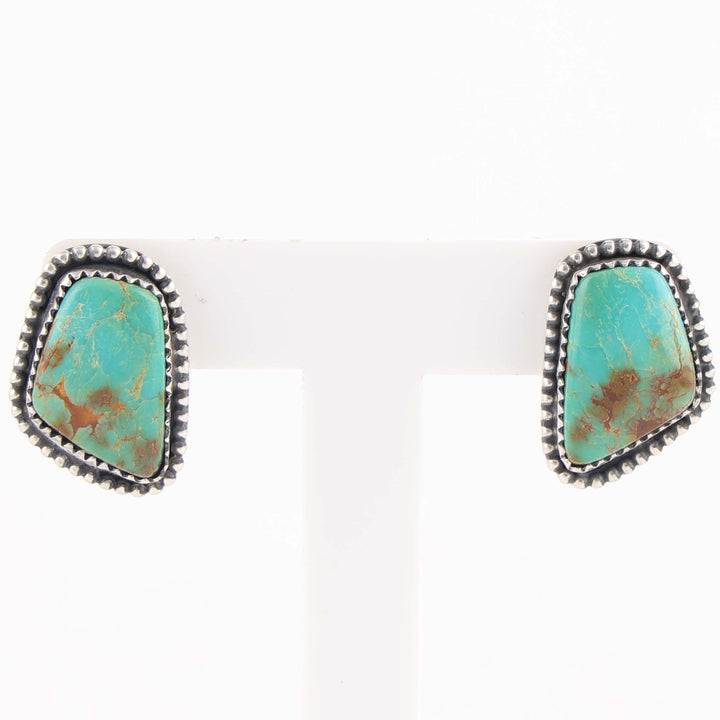 Royston Turquoise Earrings