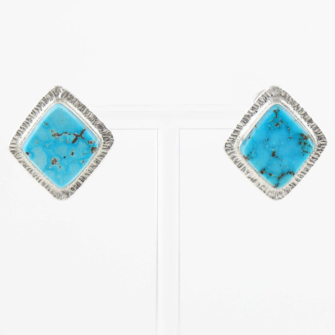 Ithaca Peak Turquoise Earrings