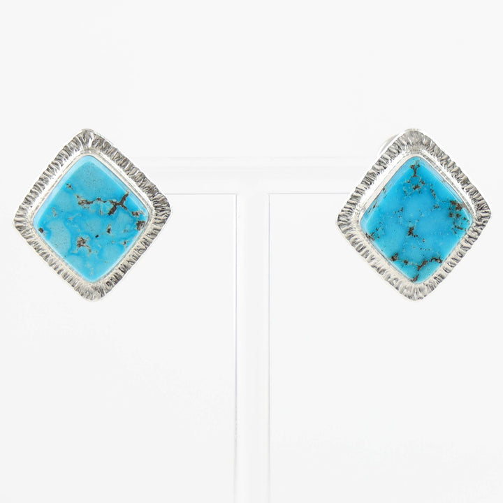 Ithaca Peak Turquoise Earrings