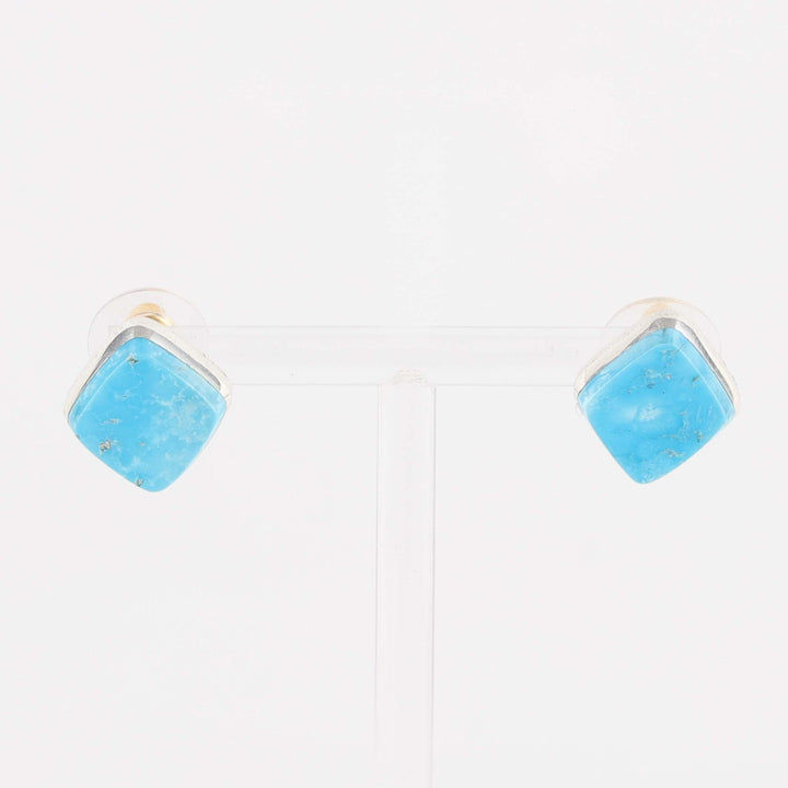 Ithaca Peak Turquoise Earrings