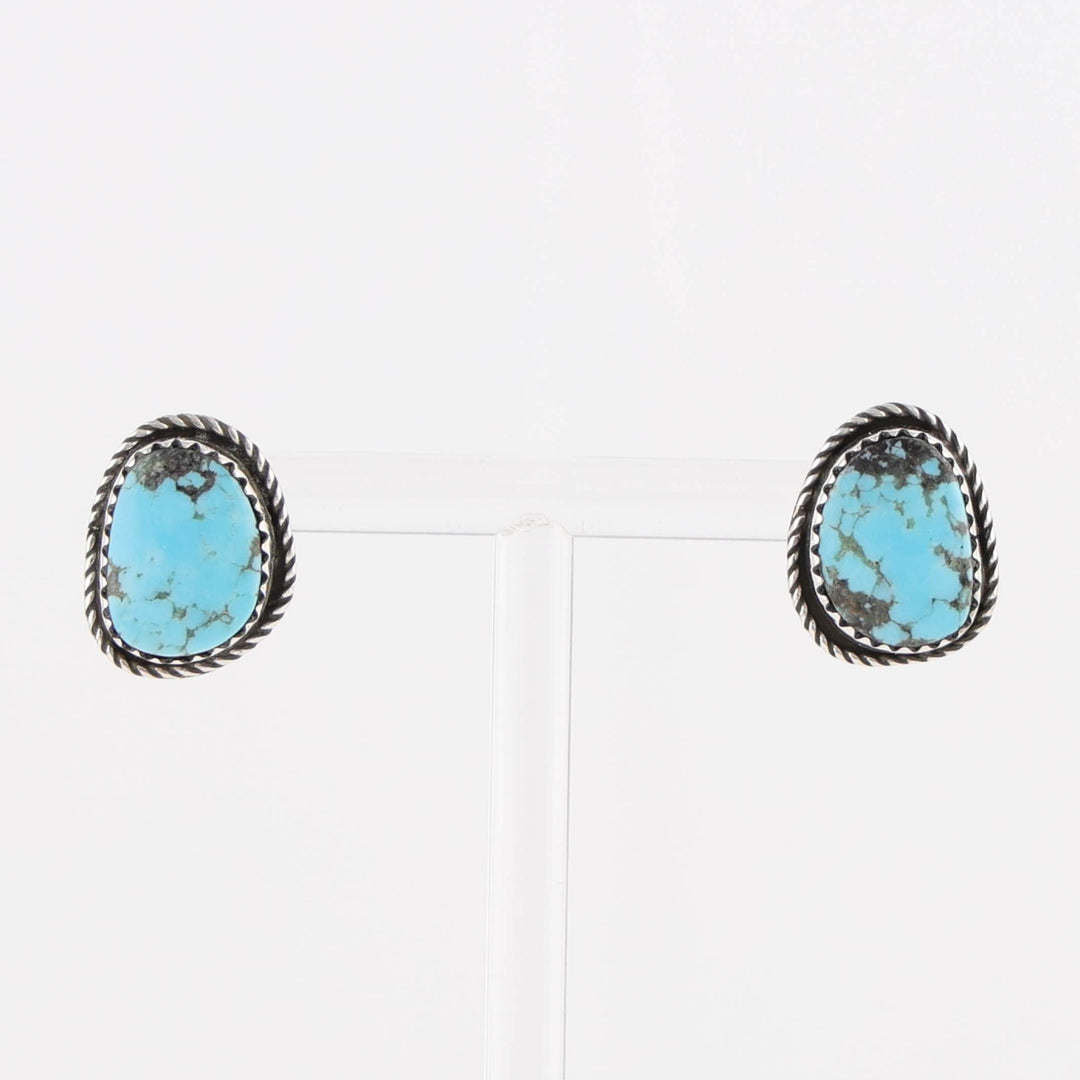 Navajo Kingman Turquoise Earrings