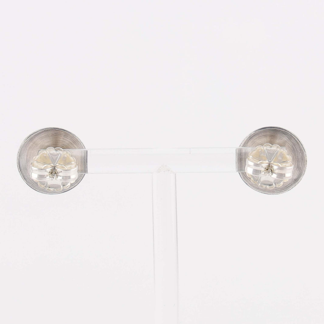 Horned Toad Earrings