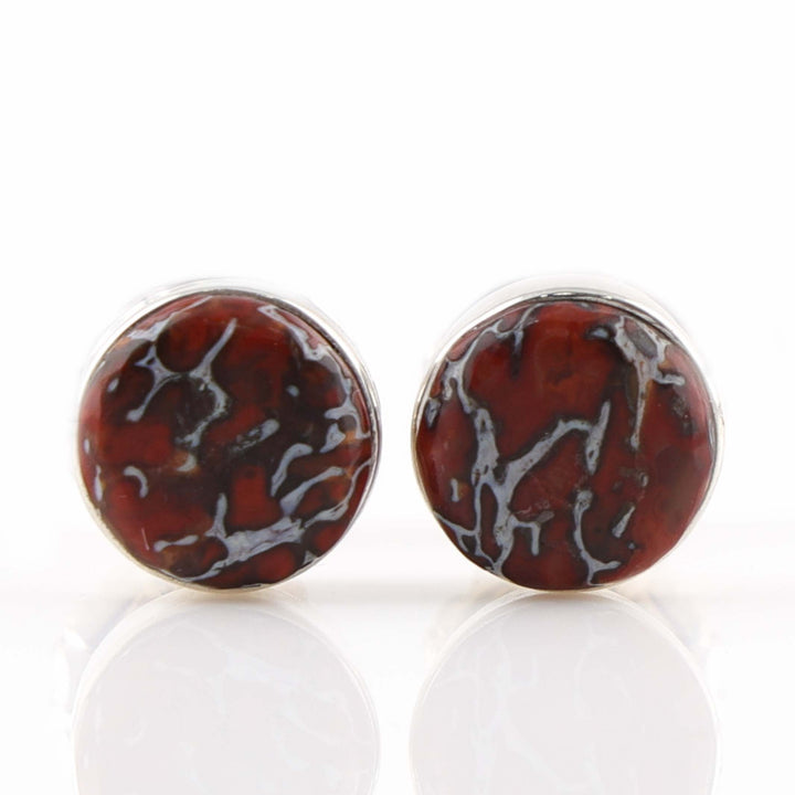 Dinosaur Bone Earrings