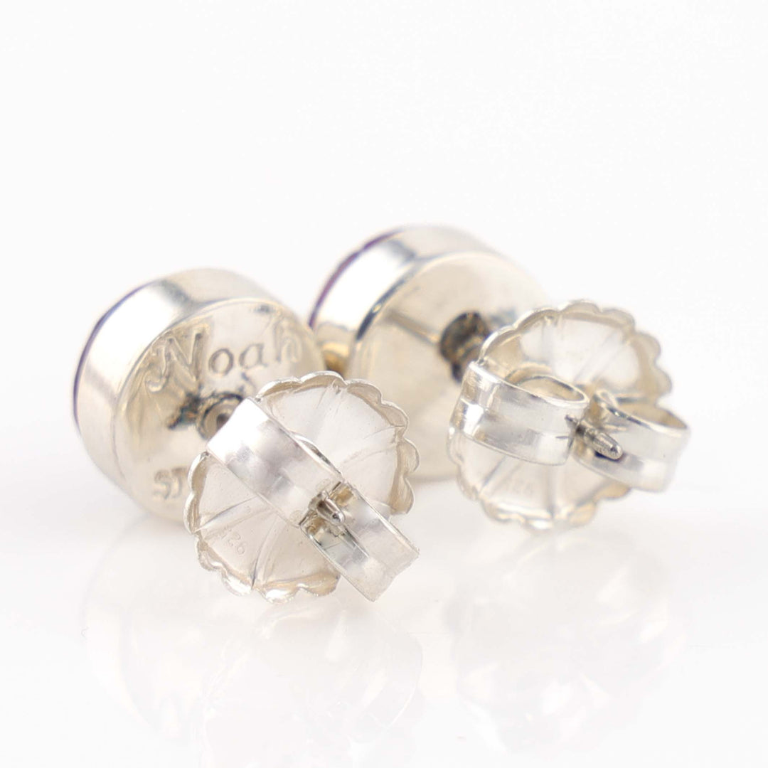 Dinosaur Bone Earrings