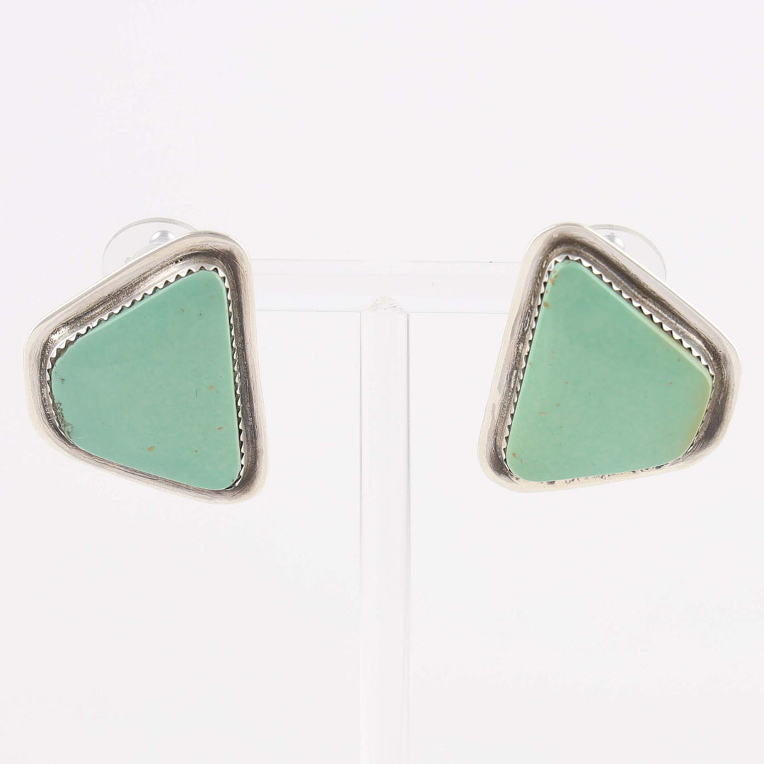 Kingman Turquoise Earrings