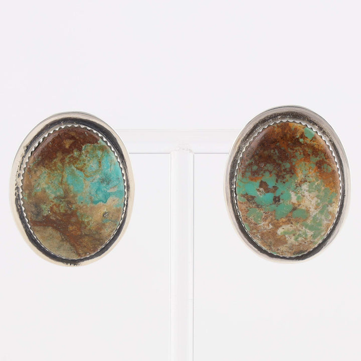 Royston Turquoise Earrings
