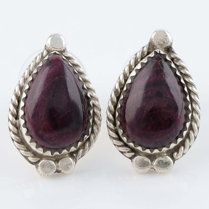 Navajo Spiny Oyster Earrings