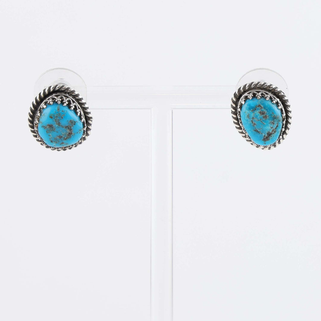 Sonoran Gold Turquoise Earrings
