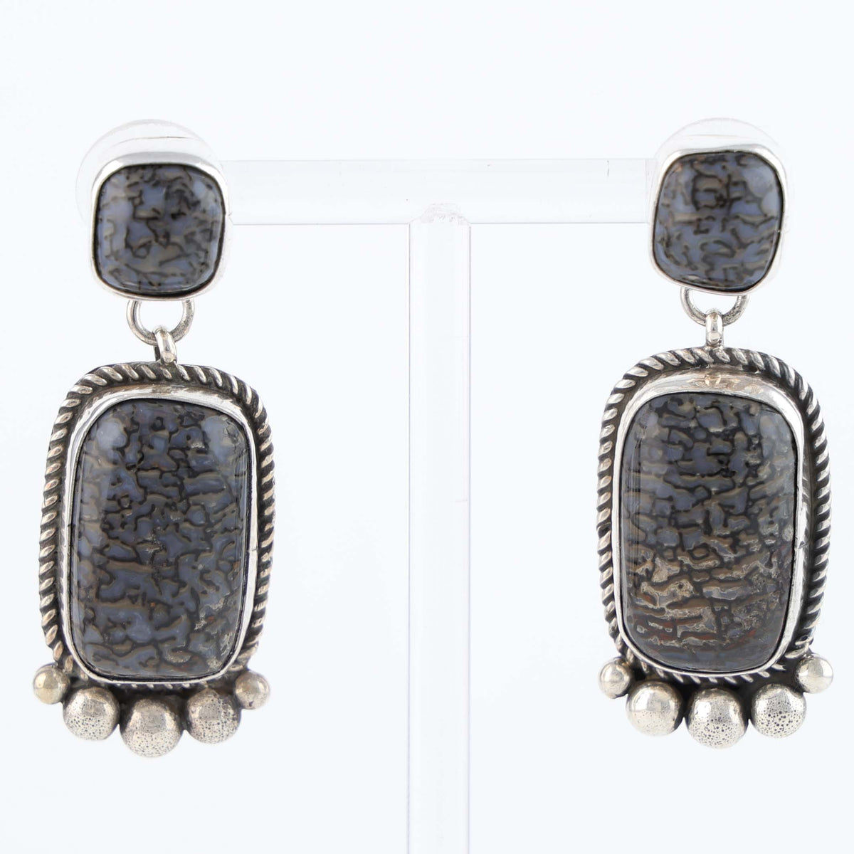 Fossilized Dinosaur Bone Earrings by Albert Jake and Bruce Eckhardt
