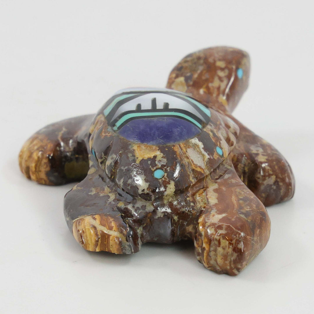 Turtle Fetish
