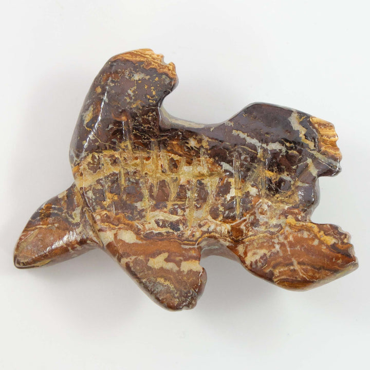 Turtle Fetish