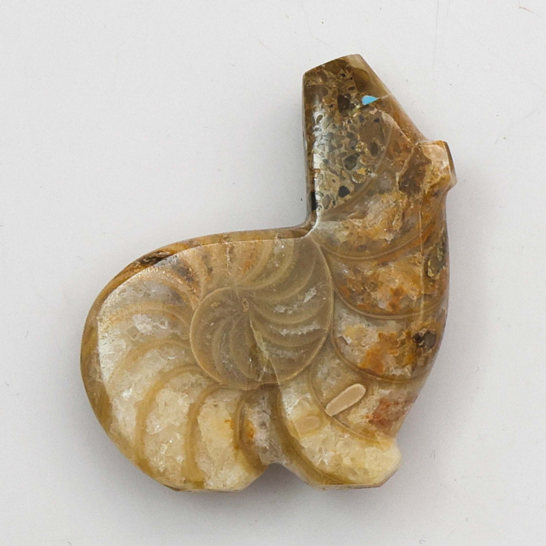 Ammonite Fossil Bear Fetish