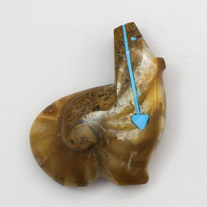 Ammonite Fossil Bear Fetish