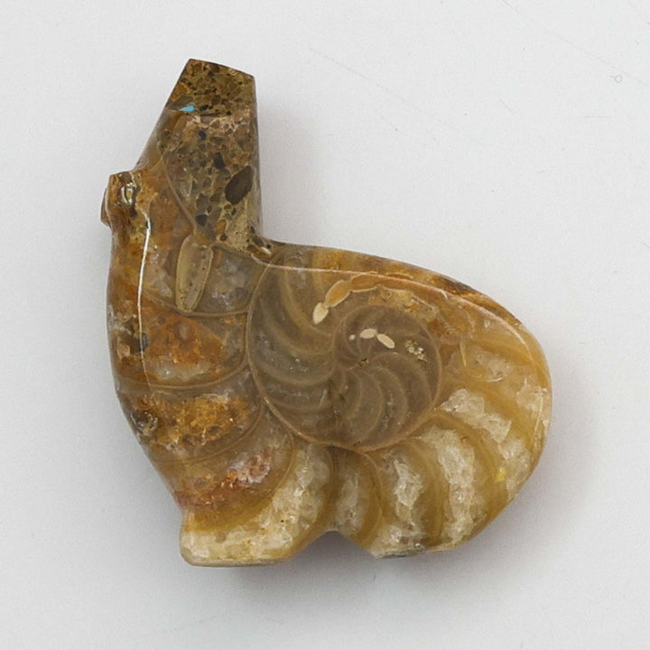 Ammonite Fossil Bear Fetish