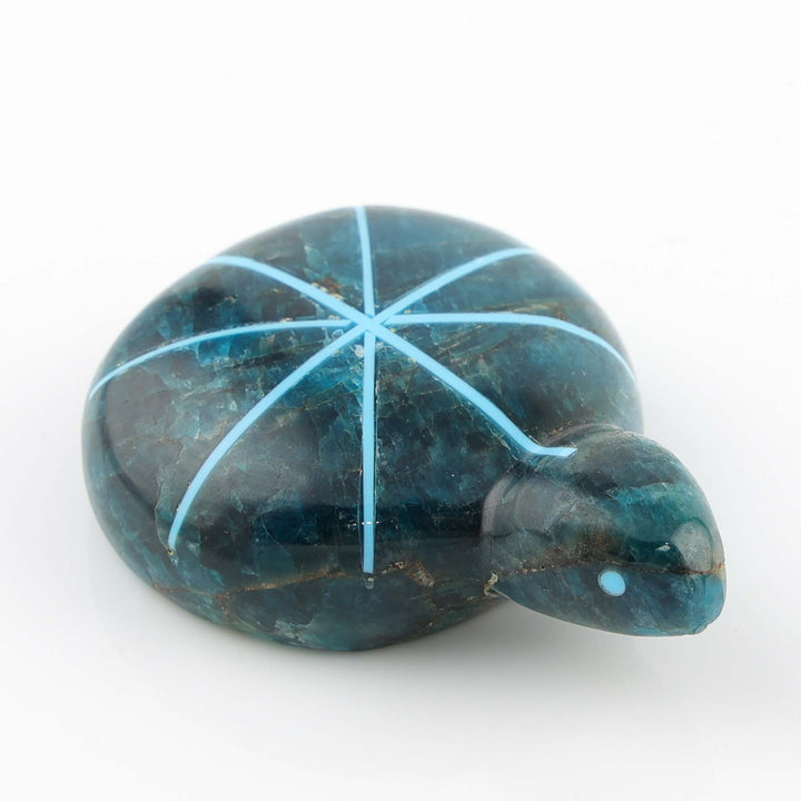 Turtle Fetish