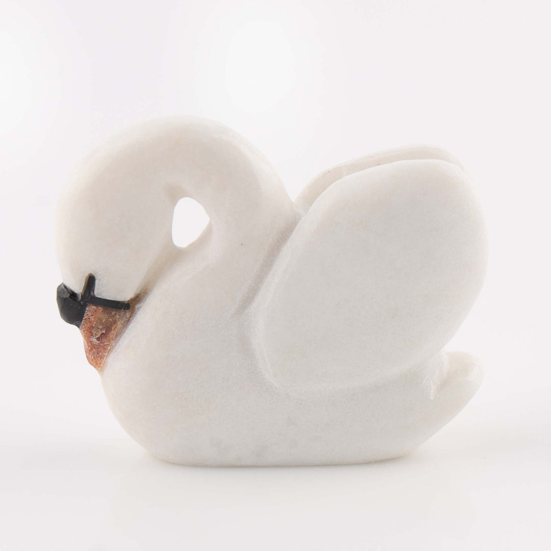 Swan Fetish
