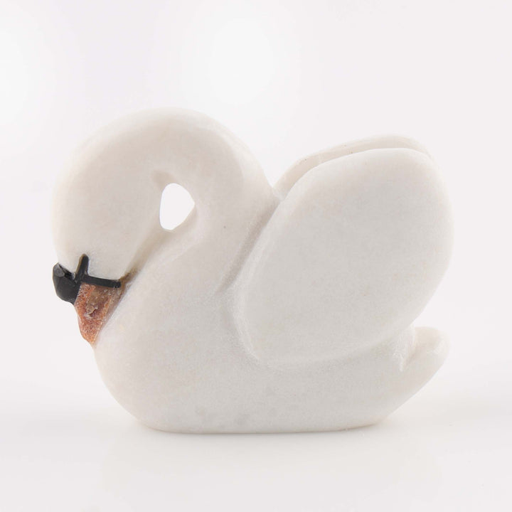 Swan Fetish