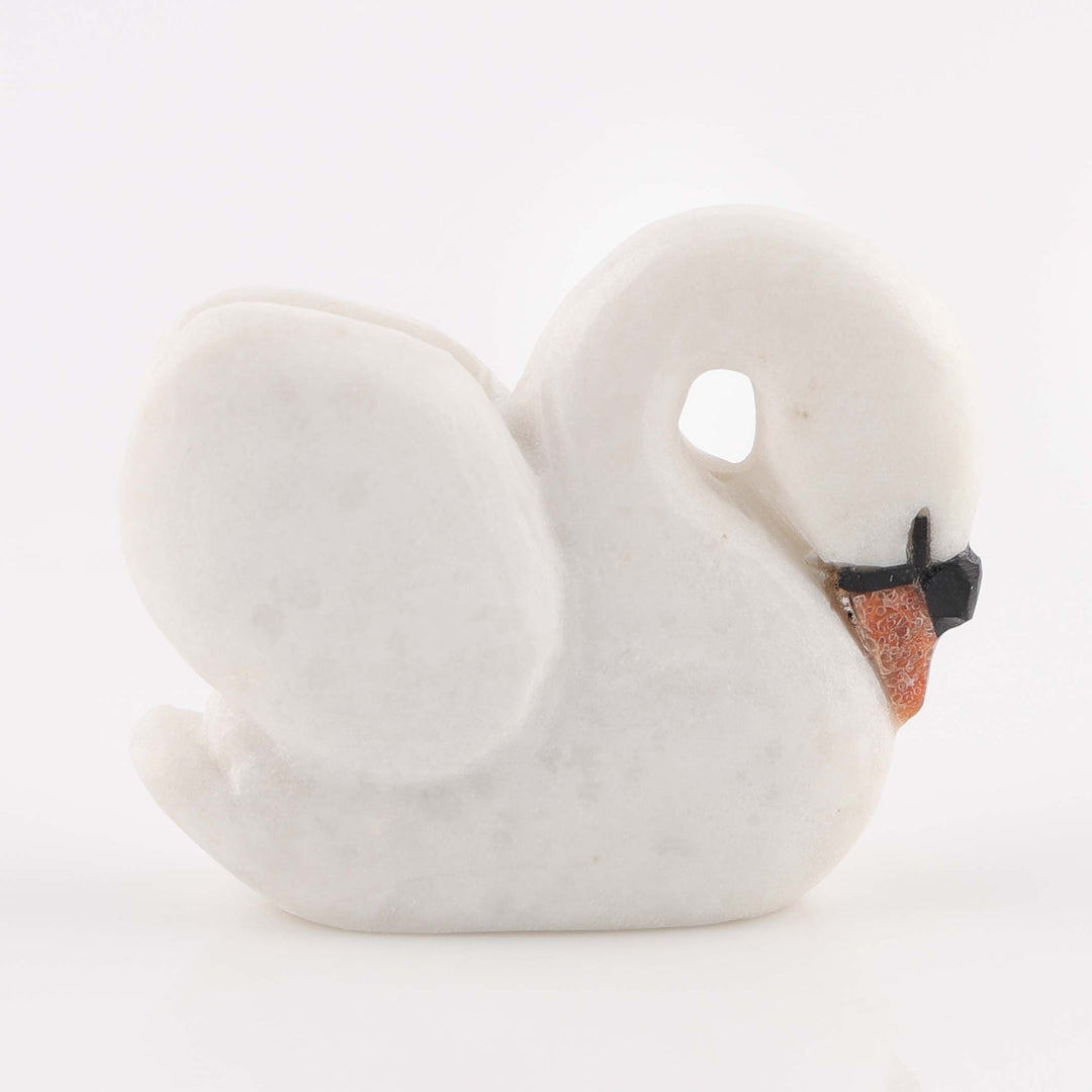 Swan Fetish