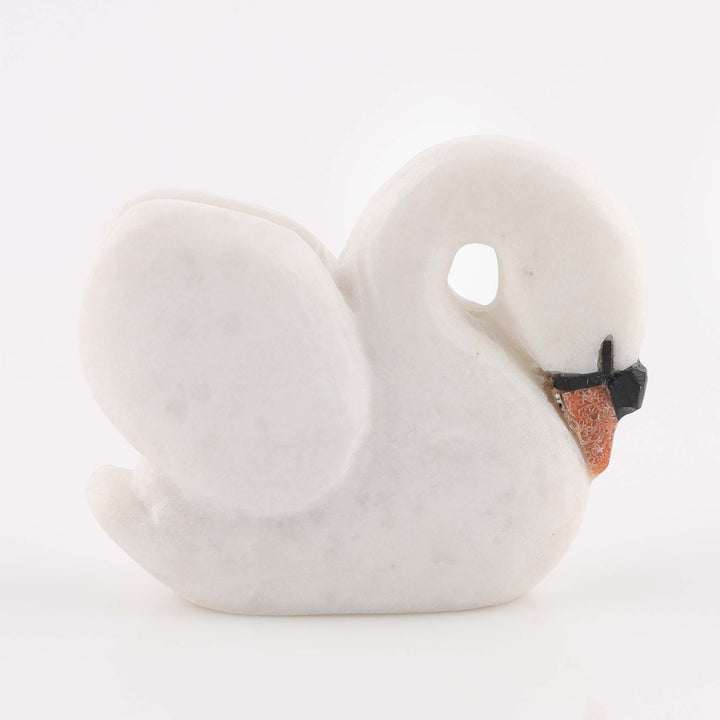 Swan Fetish