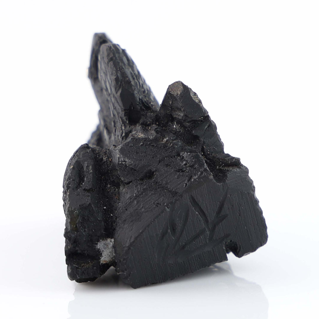 Zuni Jet Raven Fetish