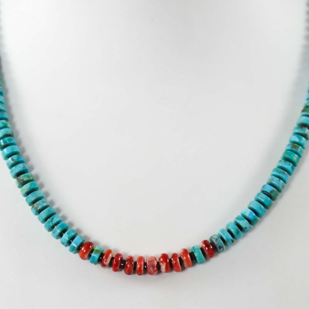 Turquoise and Spiny Oyster Necklace