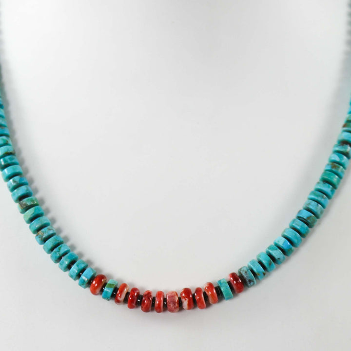 Turquoise and Spiny Oyster Necklace