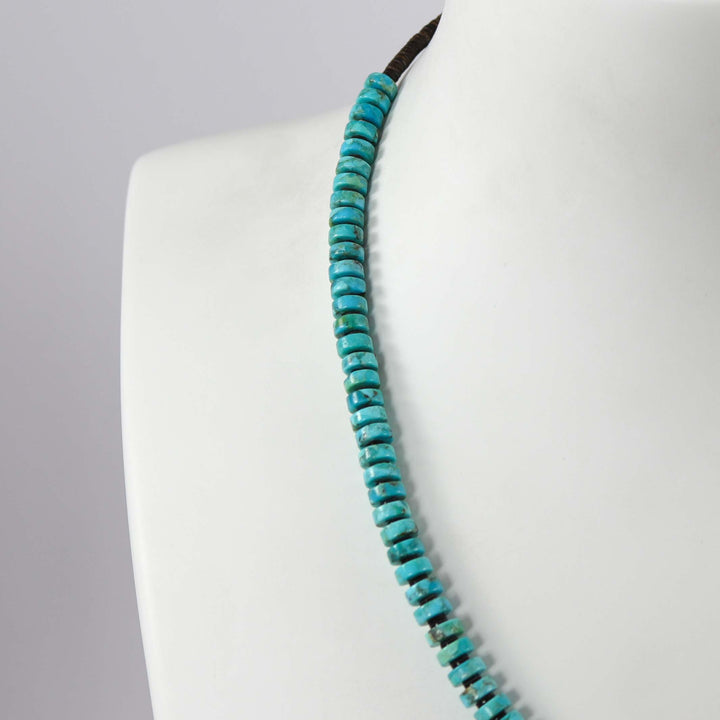 Turquoise and Spiny Oyster Necklace