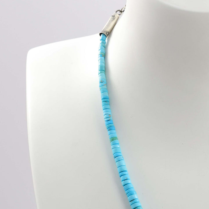 Sleeping Beauty Turquoise Necklace