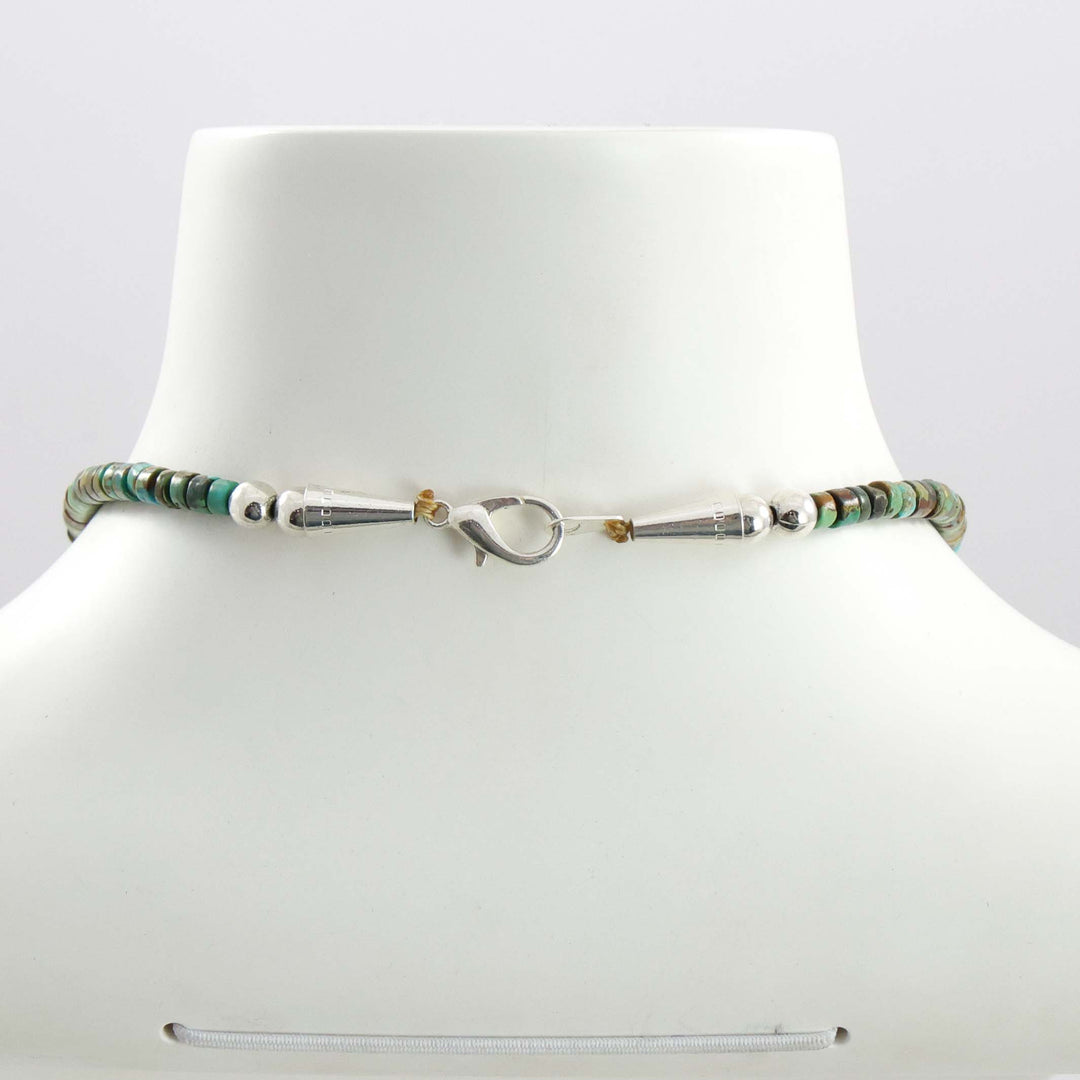 Turquoise and Spiny Oyster Shell Necklace