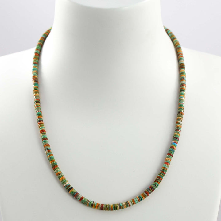 Turquoise and Spiny Oyster Shell Necklace