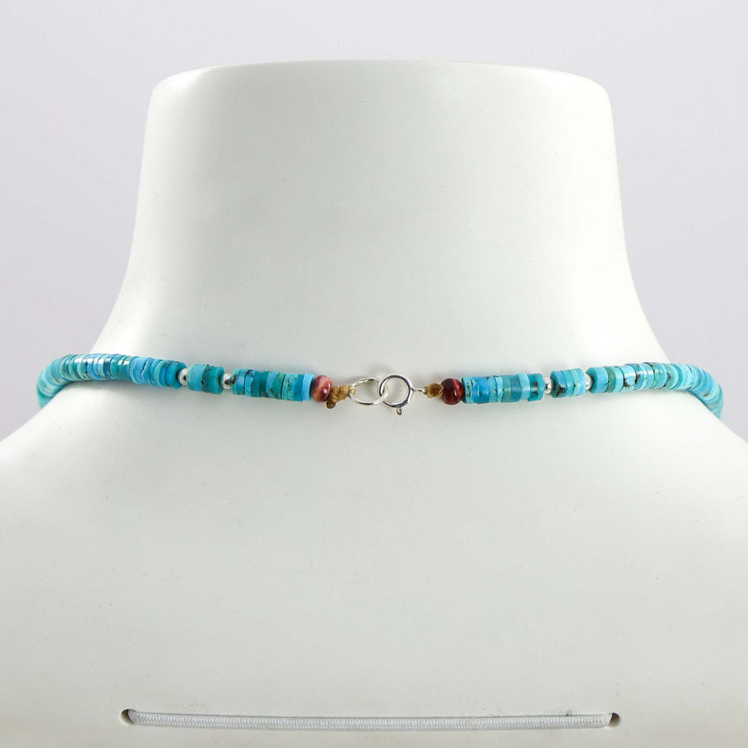 Turquoise and Spiny Oyster Necklace
