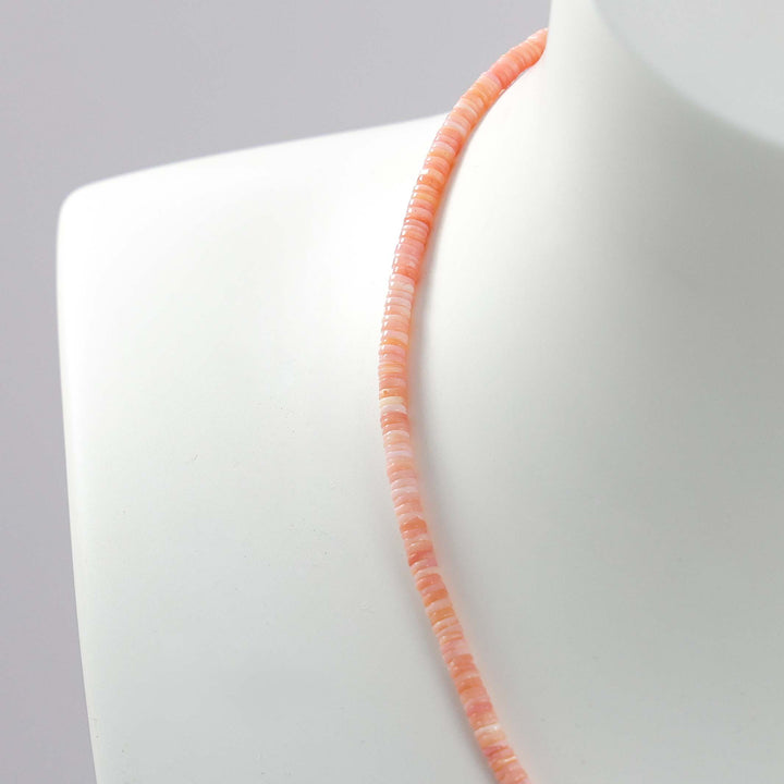 Conch Shell Necklace