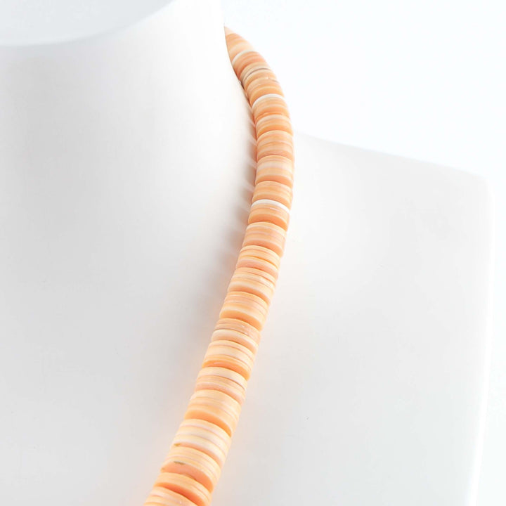 Turquoise and Shell Necklace