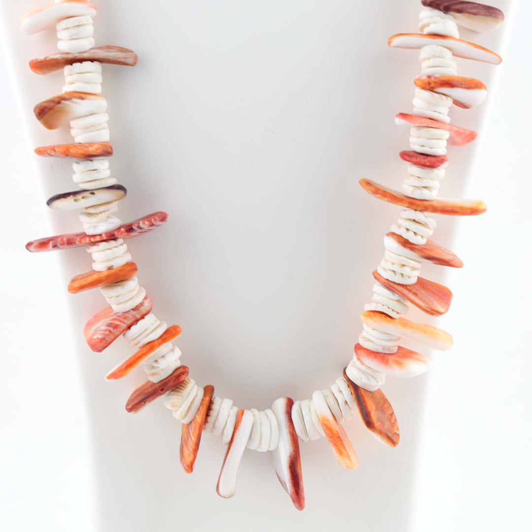 Spiny Oyster and Clam Shell Necklace
