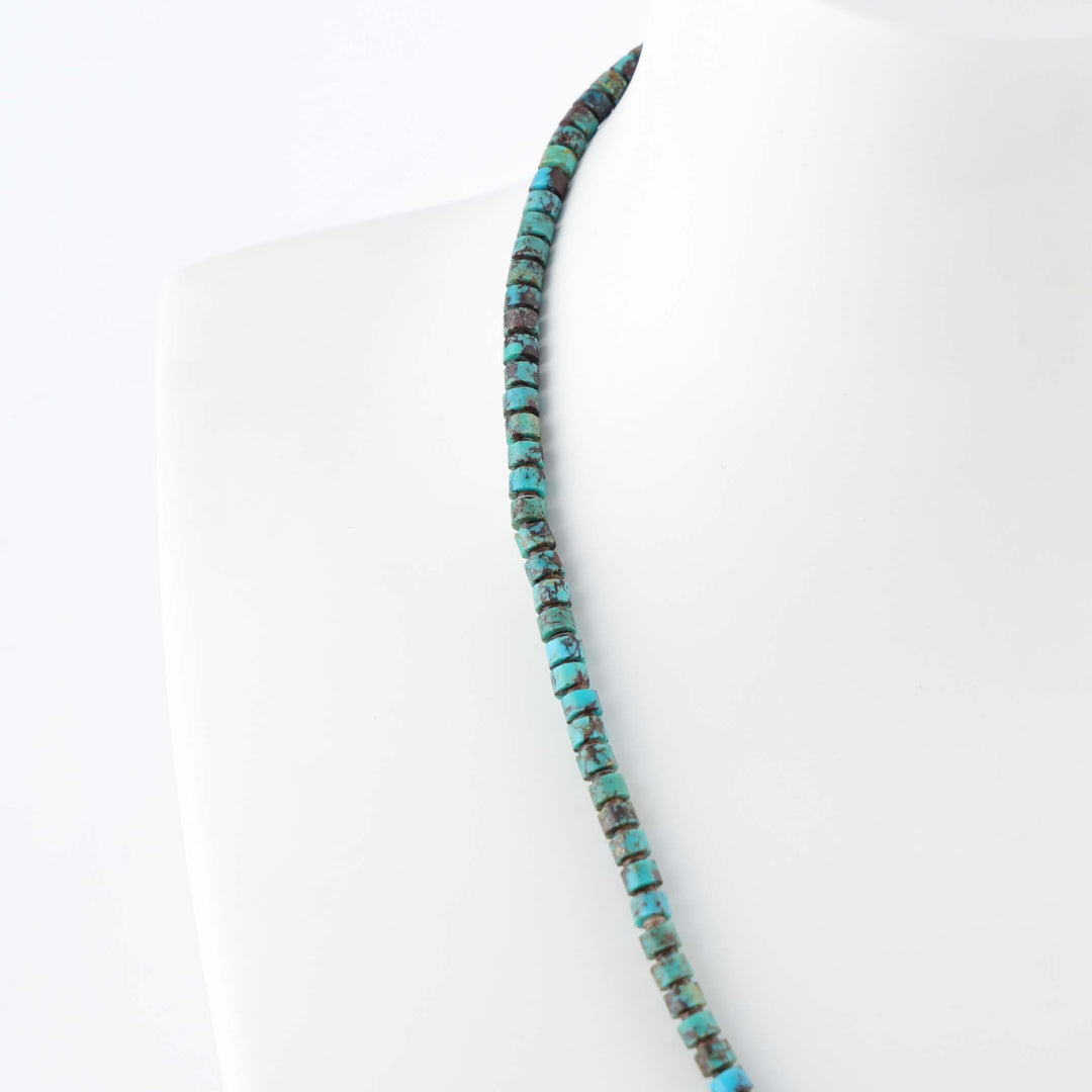 Turquoise and Spiny Oyster Necklace