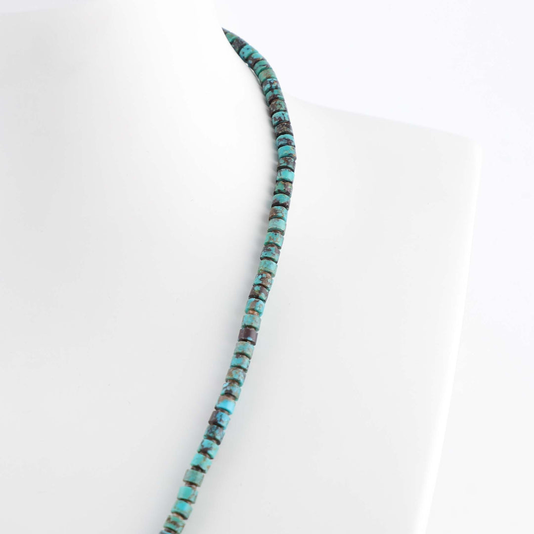 Turquoise and Spiny Oyster Necklace