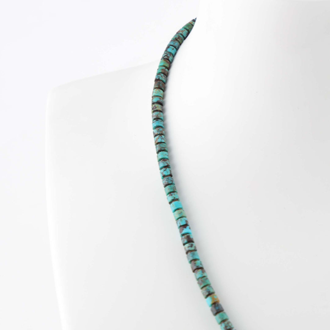Turquoise and Spiny Oyster Necklace