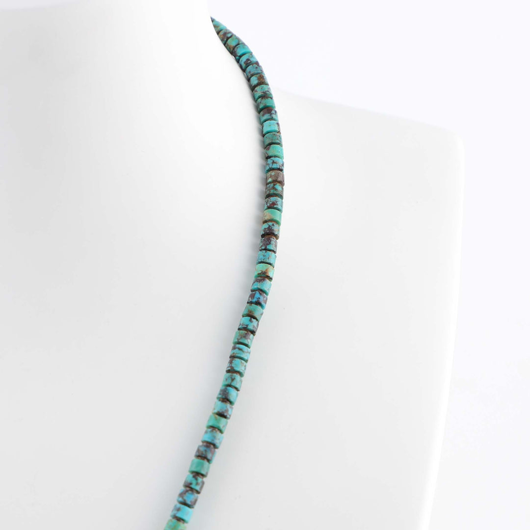 Turquoise and Spiny Oyster Necklace