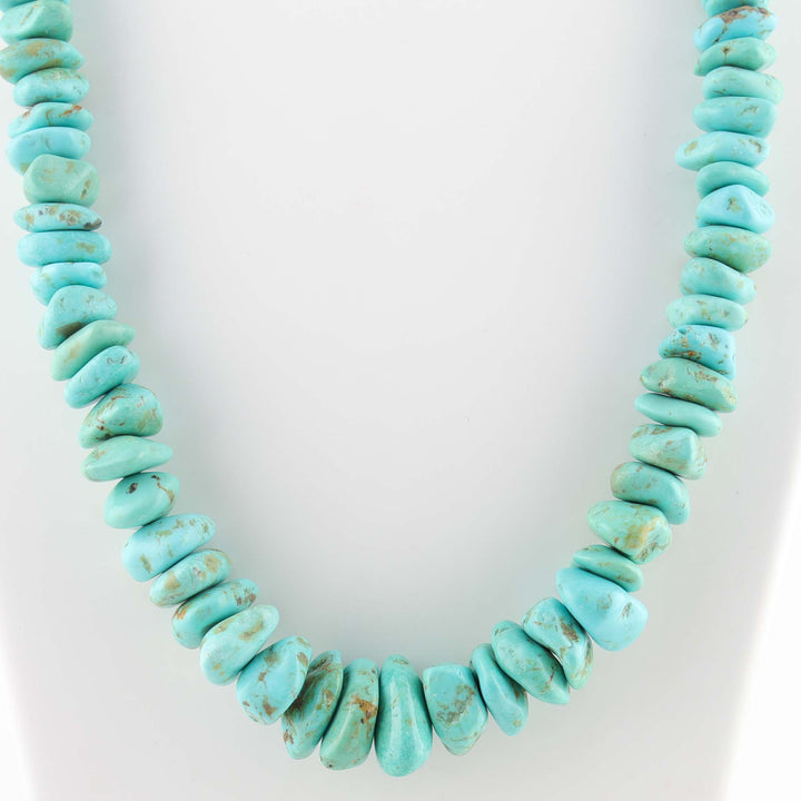 Turquoise and Shell Necklace