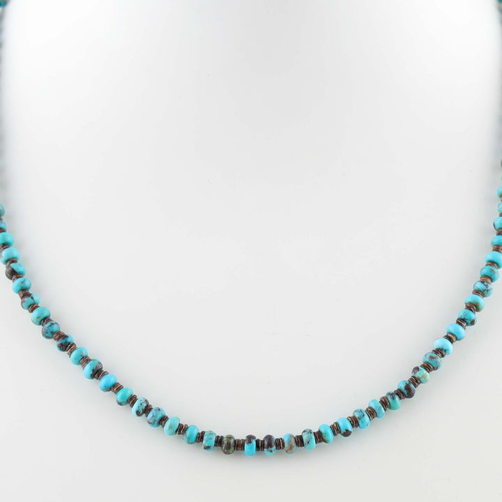 Turquoise and Spiny Oyster Necklace